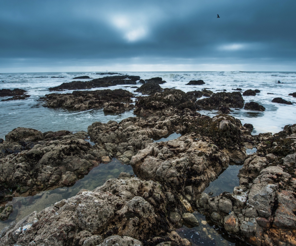 Stony Beach wallpaper 960x800