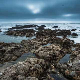 Stony Beach sfondi gratuiti per 1024x1024