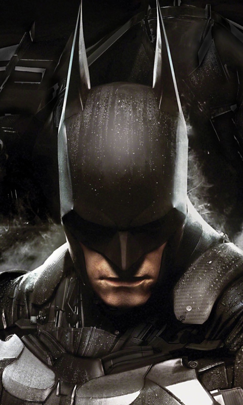 Das 2014 Batman Arkham Knight Wallpaper 480x800
