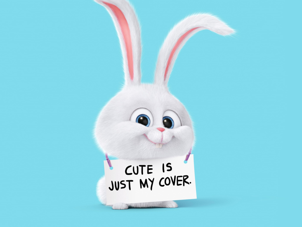 Das Snowball from The Secret Life of Pets Wallpaper 1024x768