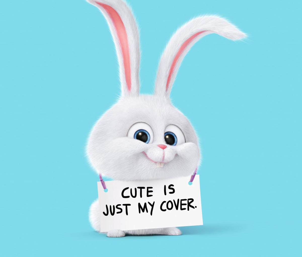 Snowball from The Secret Life of Pets wallpaper 1200x1024