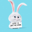 Обои Snowball from The Secret Life of Pets 128x128
