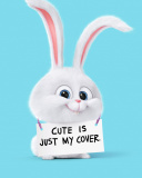 Das Snowball from The Secret Life of Pets Wallpaper 128x160