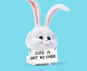 Snowball from The Secret Life of Pets wallpaper 176x144