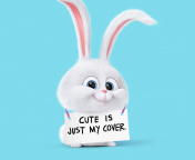 Das Snowball from The Secret Life of Pets Wallpaper 176x144