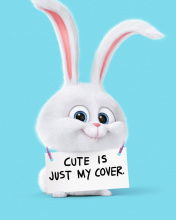 Snowball from The Secret Life of Pets wallpaper 176x220