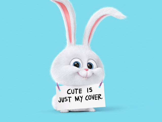 Snowball from The Secret Life of Pets wallpaper 640x480