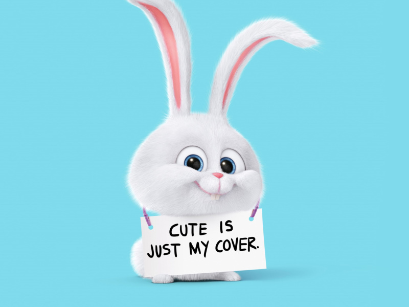 Snowball from The Secret Life of Pets wallpaper 800x600