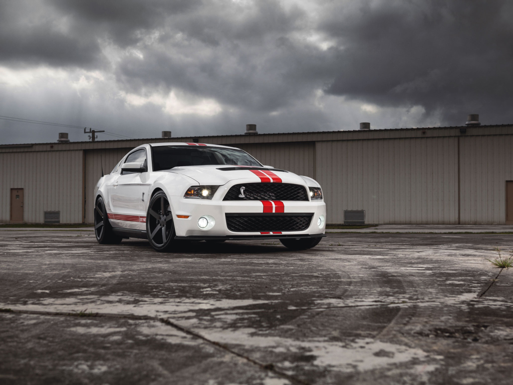 Screenshot №1 pro téma Ford Mustang Gt500 1024x768