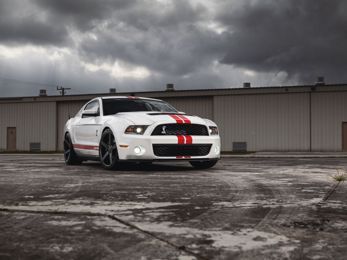 Обои Ford Mustang Gt500 1152x864