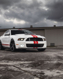 Обои Ford Mustang Gt500 128x160