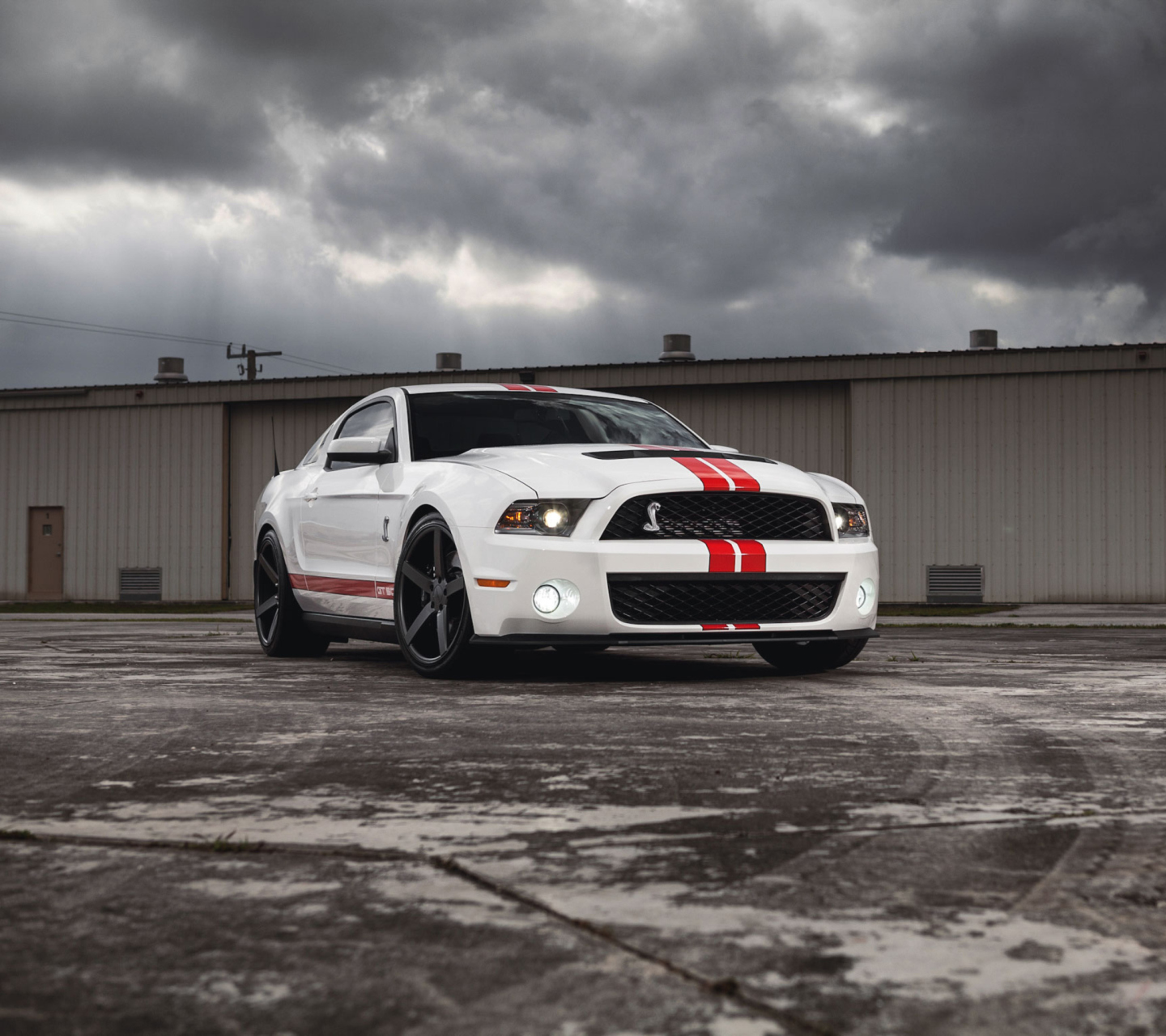 Обои Ford Mustang Gt500 1440x1280