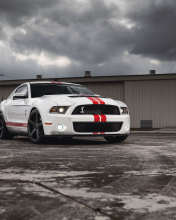 Обои Ford Mustang Gt500 176x220