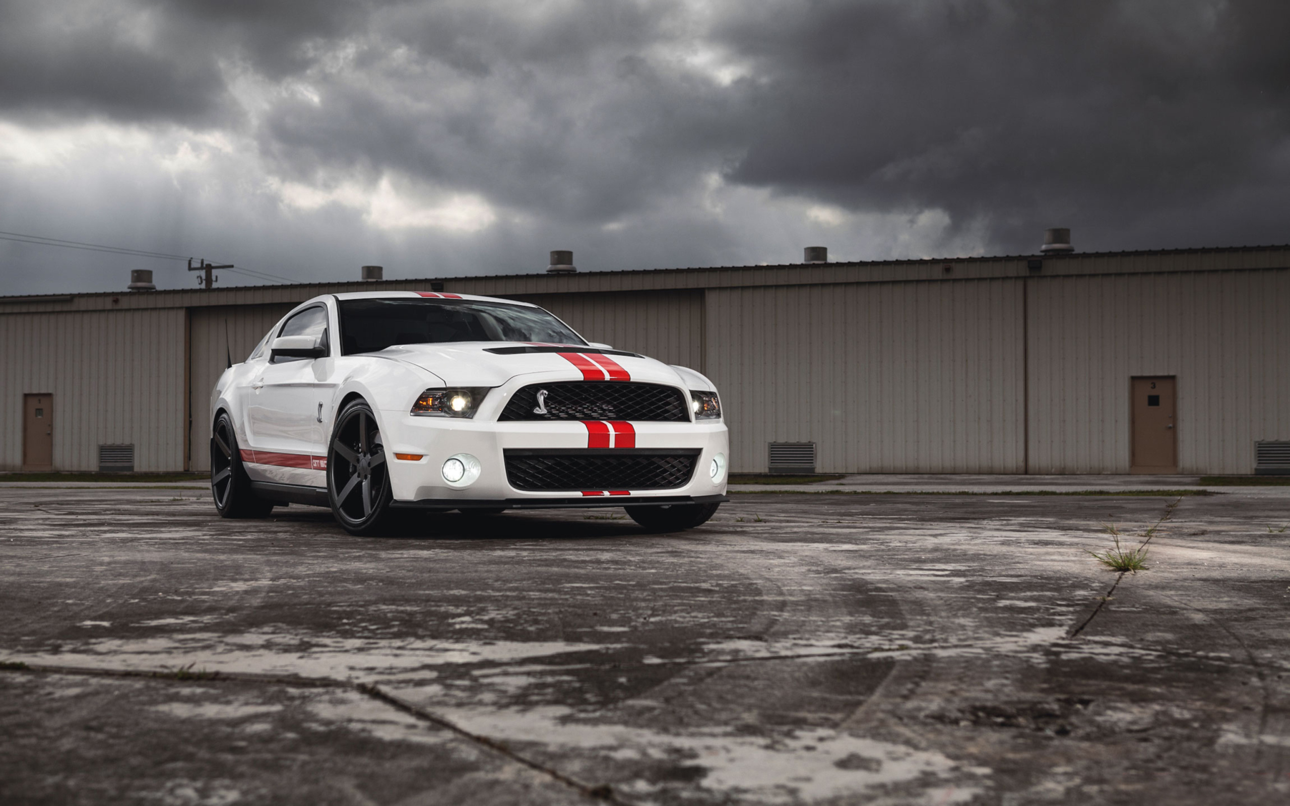 Обои Ford Mustang Gt500 2560x1600