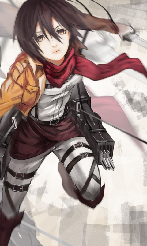 Das Mikasa Ackerman - Shingeki no Kyojin Wallpaper 480x800