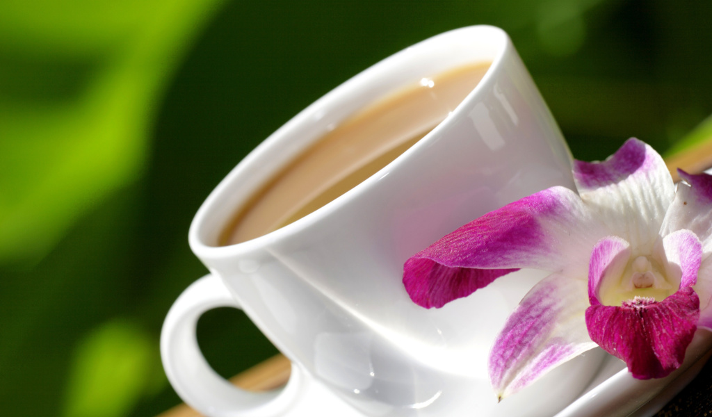 Das Orchid and Coffee Wallpaper 1024x600