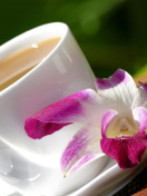 Orchid and Coffee wallpaper 132x176