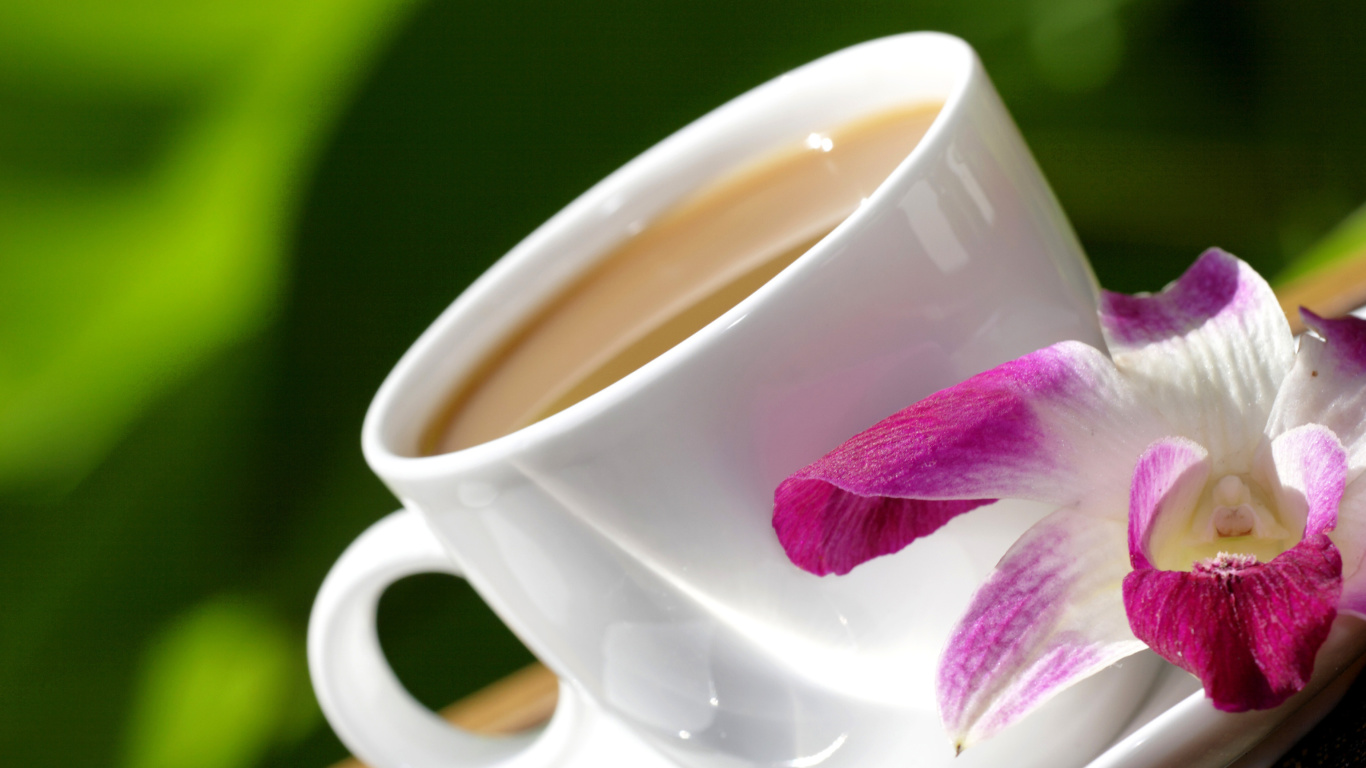 Orchid and Coffee screenshot #1 1366x768
