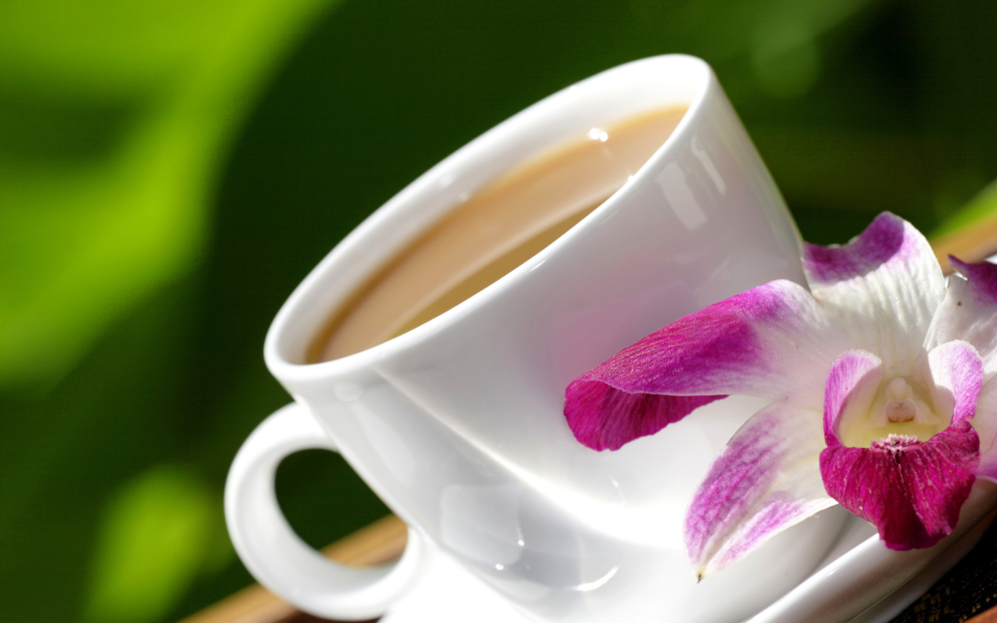 Обои Orchid and Coffee 1440x900