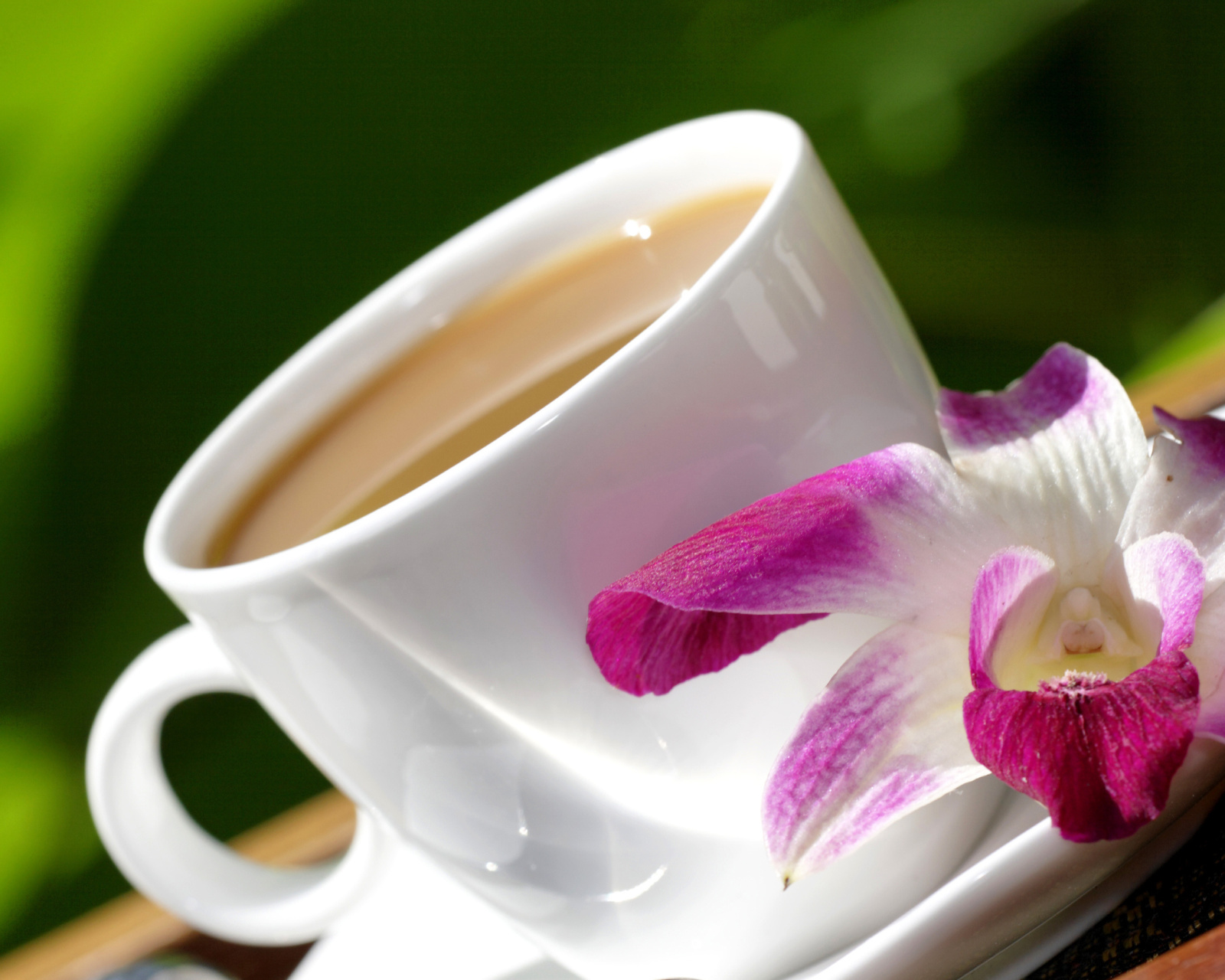Orchid and Coffee wallpaper 1600x1280