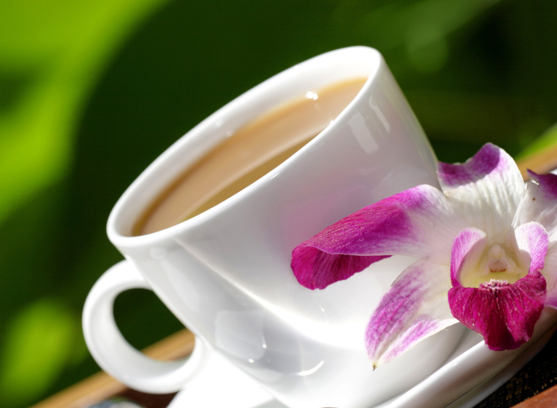 Das Orchid and Coffee Wallpaper 1920x1408