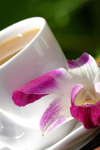 Das Orchid and Coffee Wallpaper 320x480
