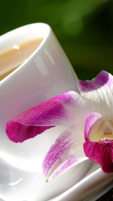 Das Orchid and Coffee Wallpaper 360x640