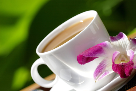 Orchid and Coffee wallpaper 480x320