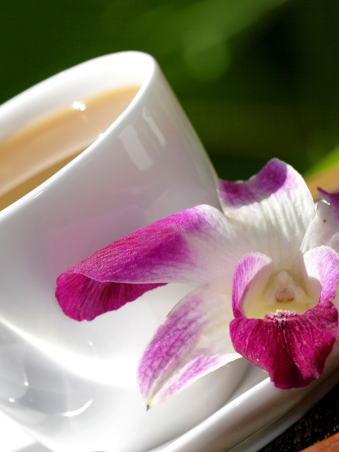 Das Orchid and Coffee Wallpaper 480x640