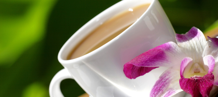 Das Orchid and Coffee Wallpaper 720x320