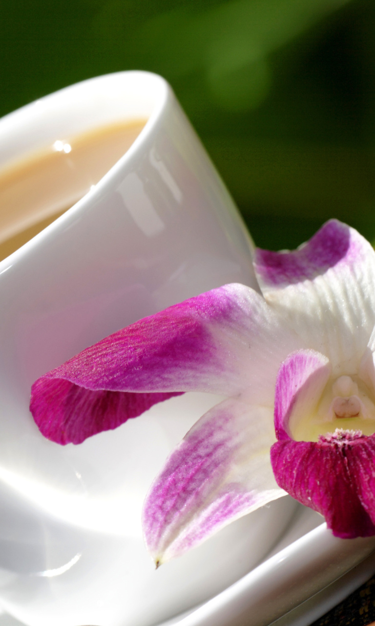 Orchid and Coffee wallpaper 768x1280