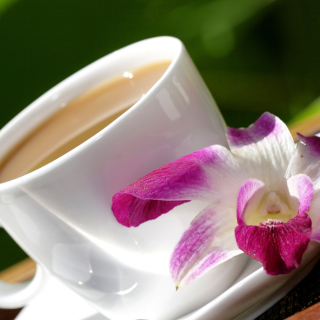 Orchid and Coffee sfondi gratuiti per iPad 3