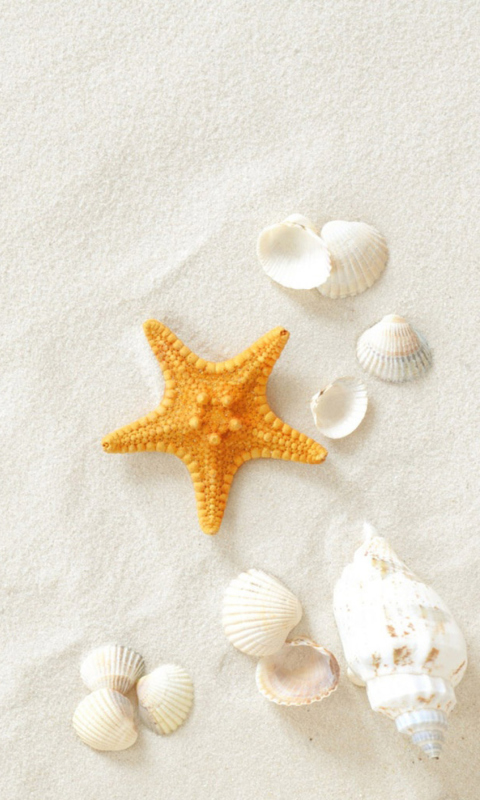 White Sand wallpaper 480x800