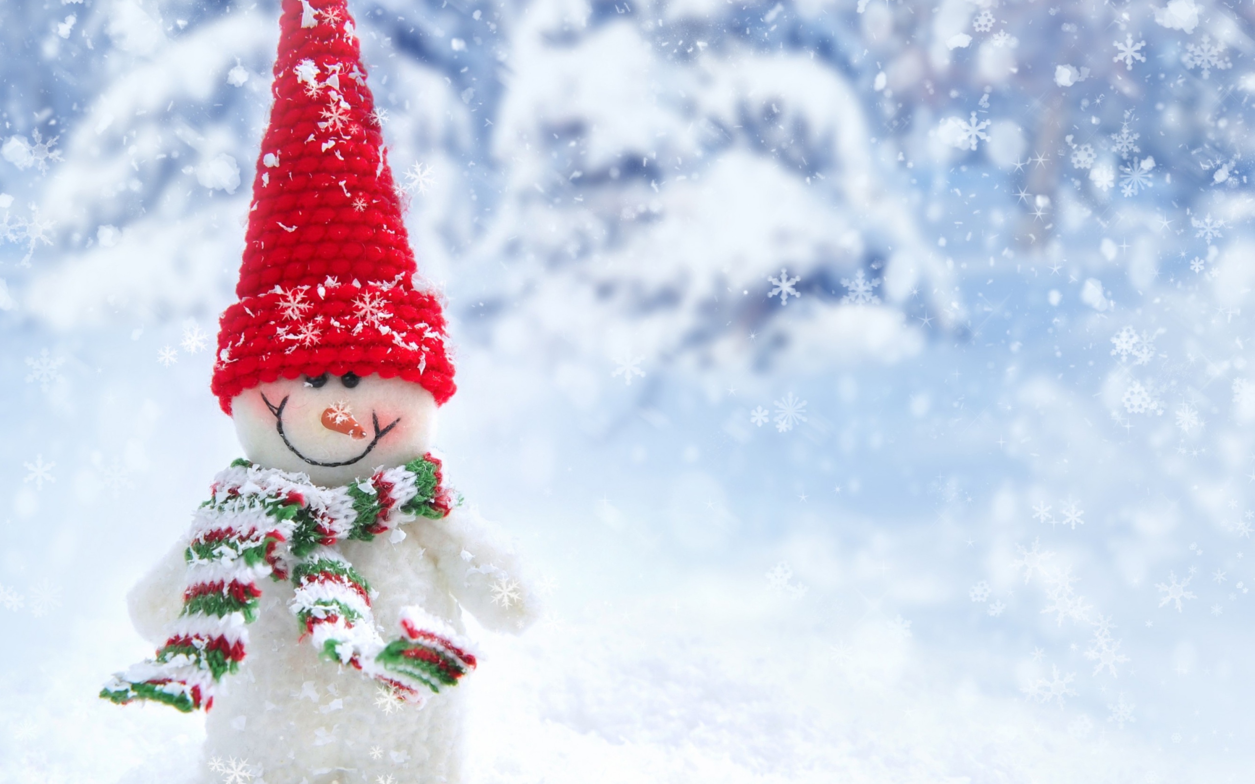 Sfondi Cute Snowman Red Hat 2560x1600