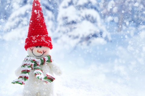 Das Cute Snowman Red Hat Wallpaper 480x320