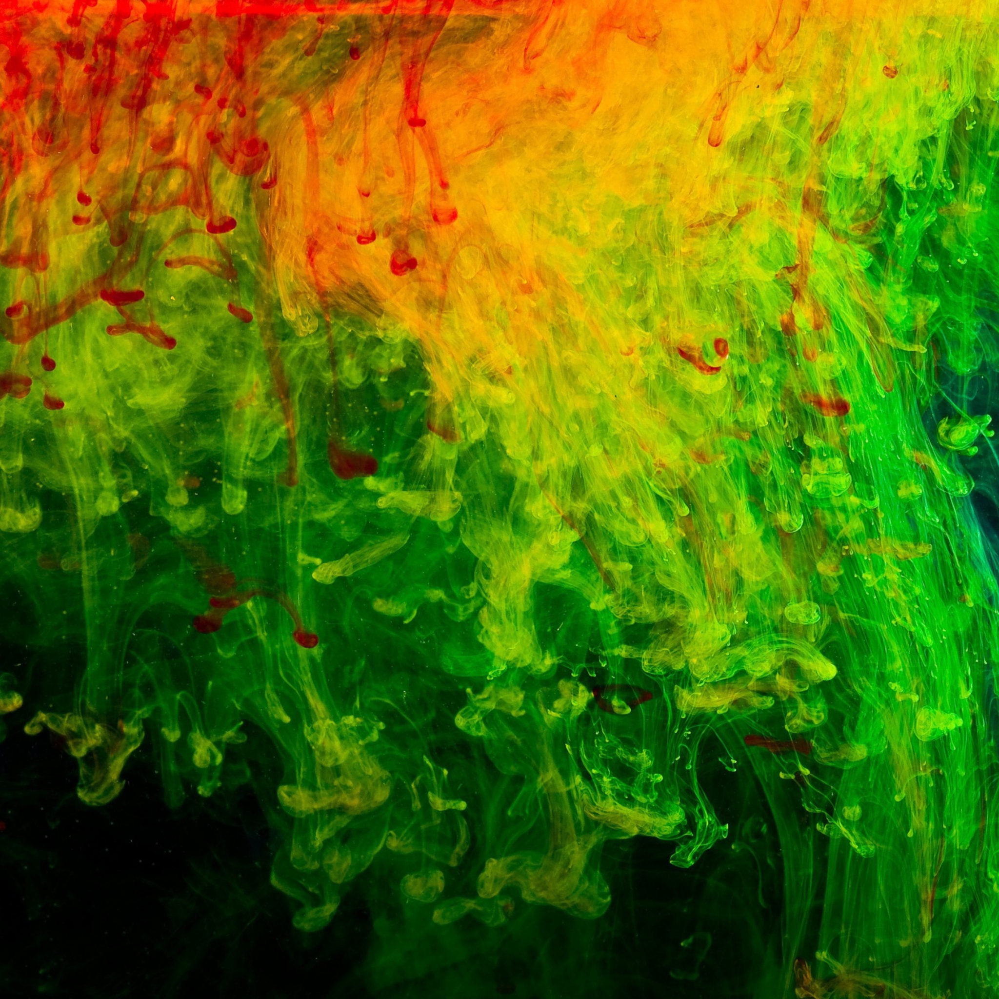 Fondo de pantalla Colorful Abstraction 2048x2048
