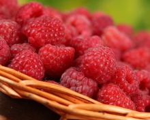 Screenshot №1 pro téma Sweet Raspberries 220x176