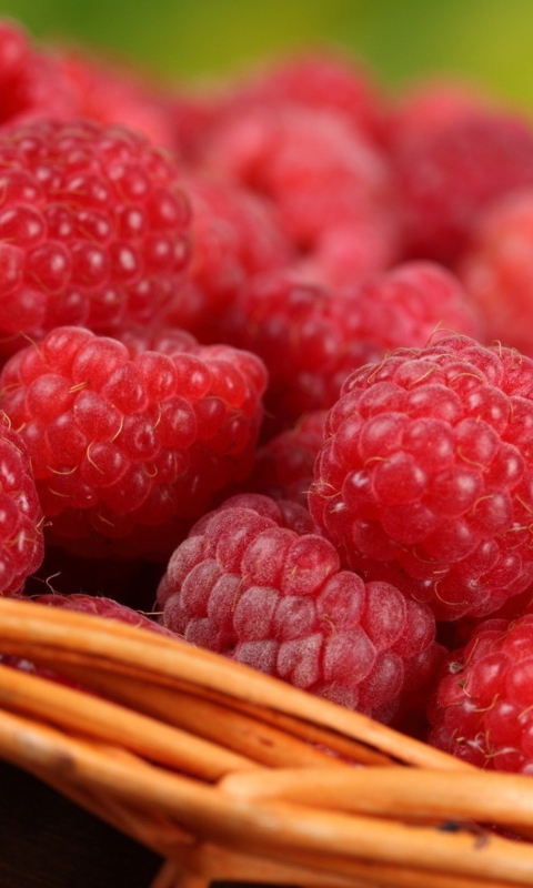 Sfondi Sweet Raspberries 480x800