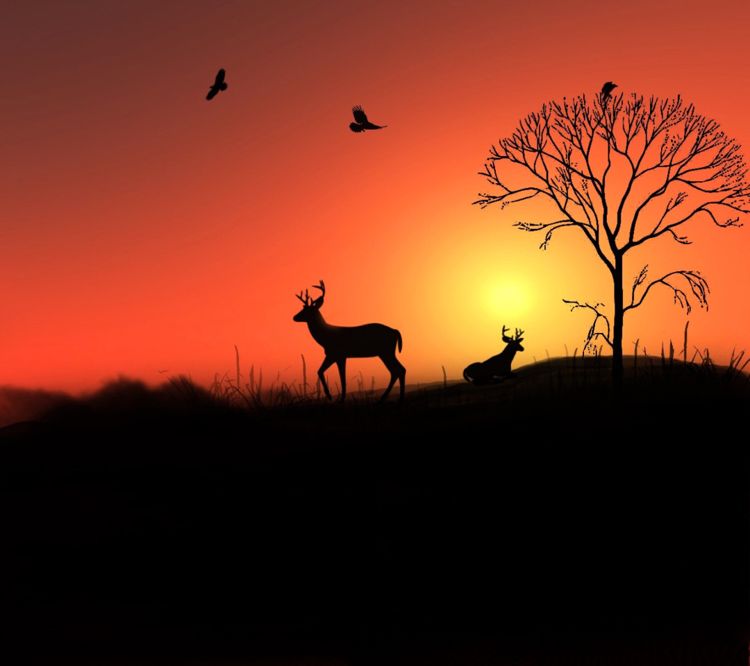 Обои Deer Silhouettes At Red Sunset 1080x960