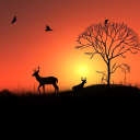 Sfondi Deer Silhouettes At Red Sunset 128x128