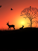 Fondo de pantalla Deer Silhouettes At Red Sunset 132x176