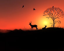 Обои Deer Silhouettes At Red Sunset 220x176