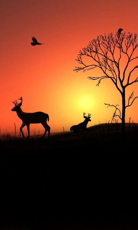 Sfondi Deer Silhouettes At Red Sunset 480x800
