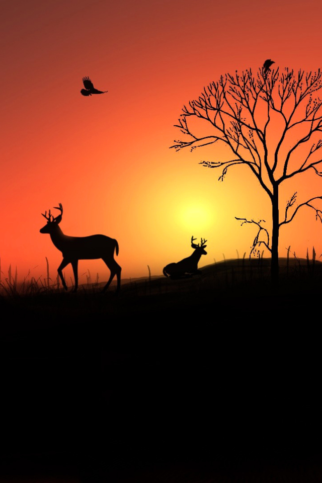 Обои Deer Silhouettes At Red Sunset 640x960
