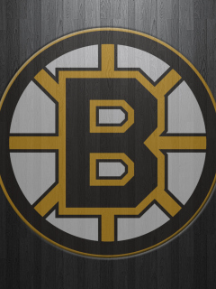 Screenshot №1 pro téma Boston Bruins 240x320