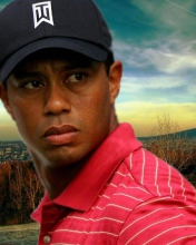 Sfondi Tiger Woods 176x220