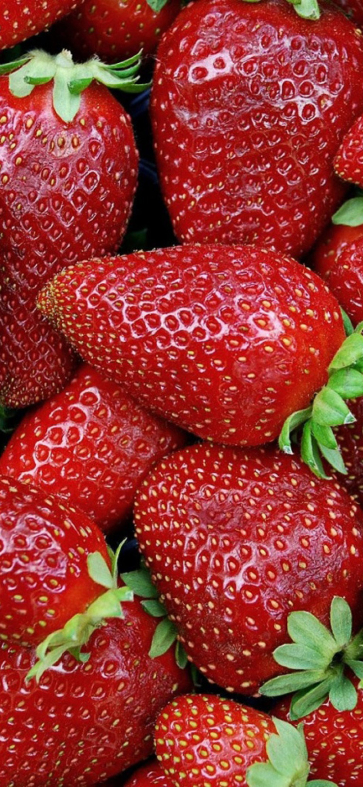 Strawberries screenshot #1 1170x2532