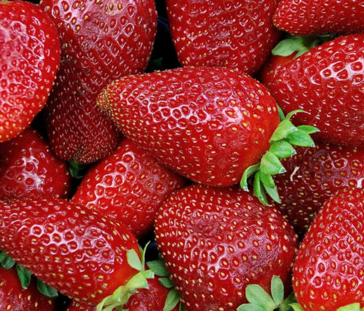 Das Strawberries Wallpaper 1200x1024