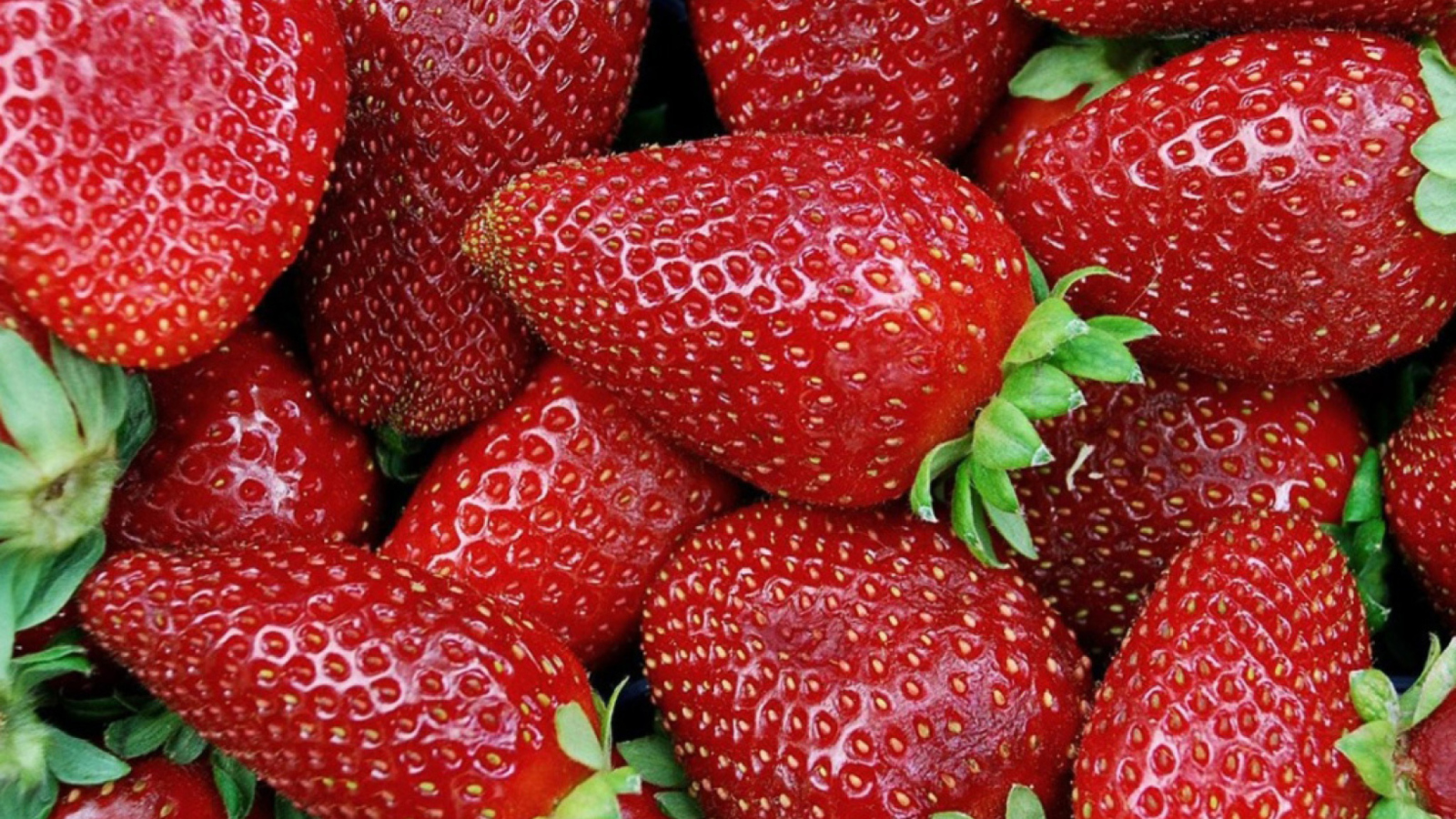 Das Strawberries Wallpaper 1600x900