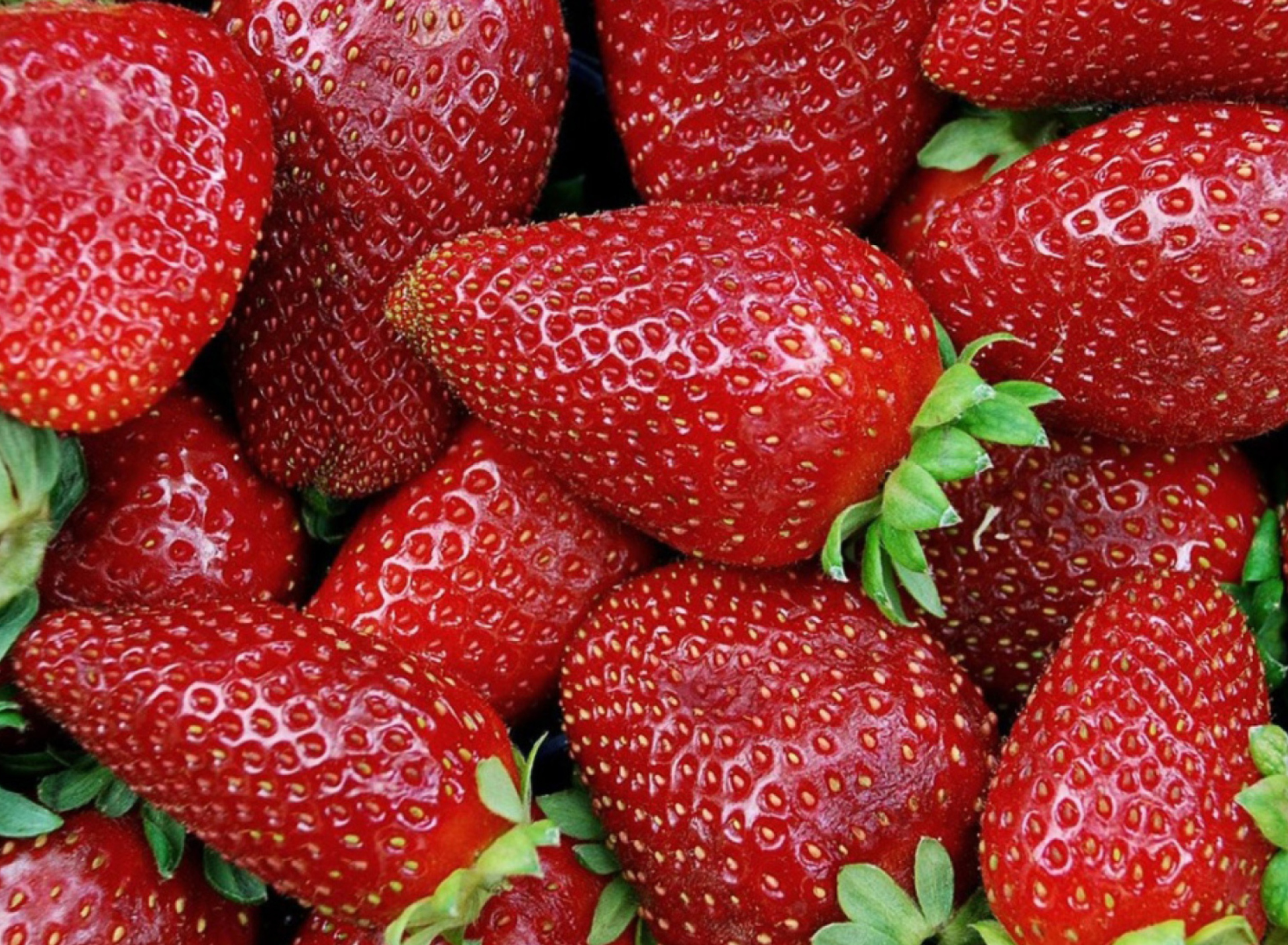 Sfondi Strawberries 1920x1408